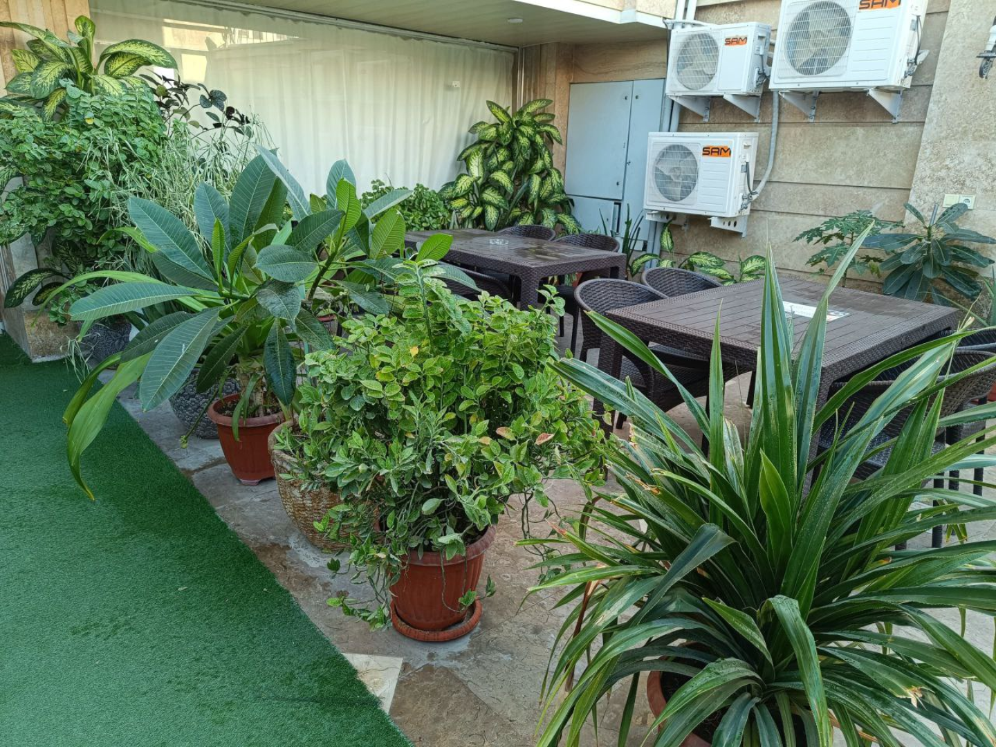 Rose Makoran Hotel